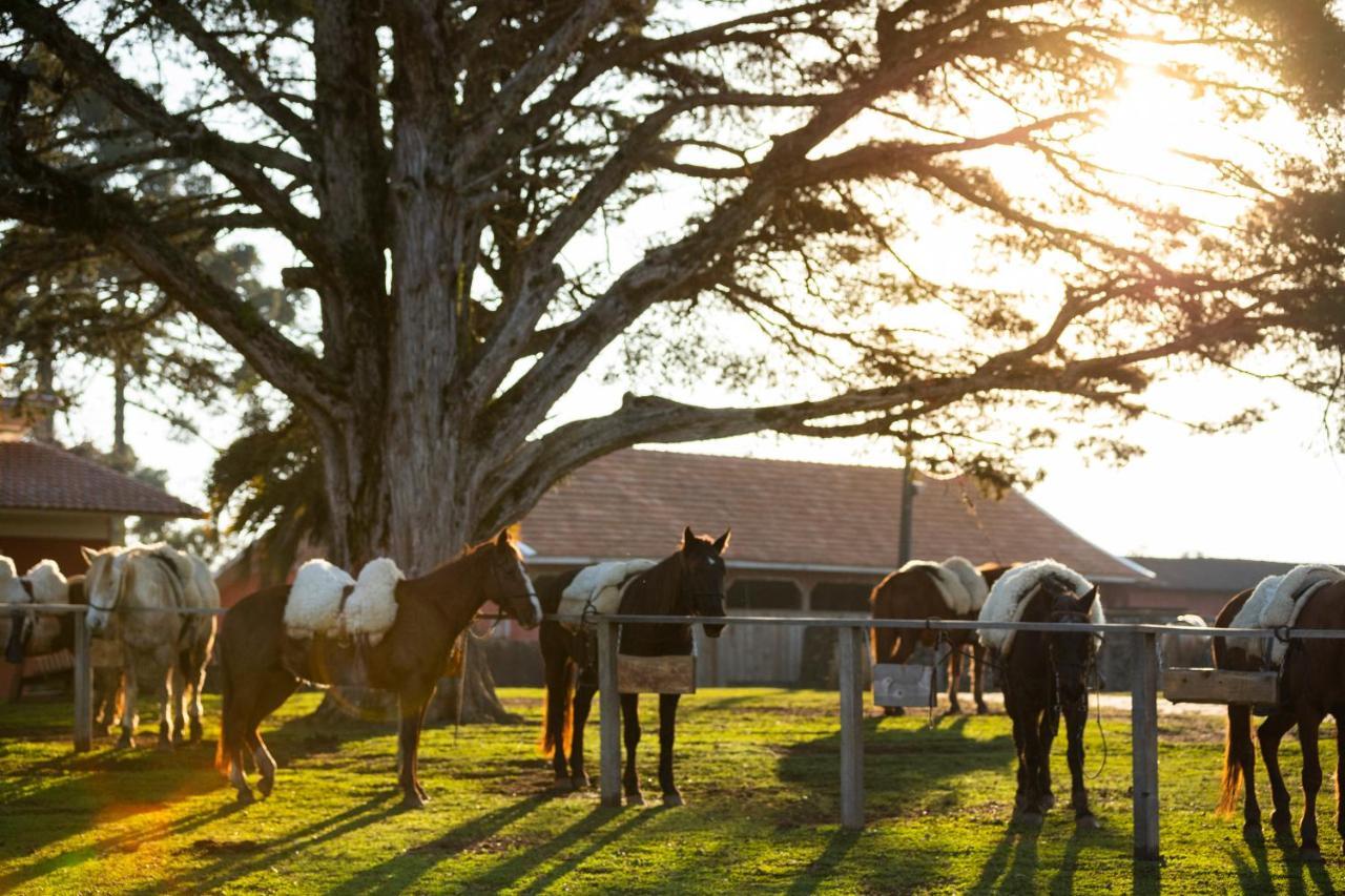 Cerro Azul Hotel Fazenda Capao Alto エクステリア 写真