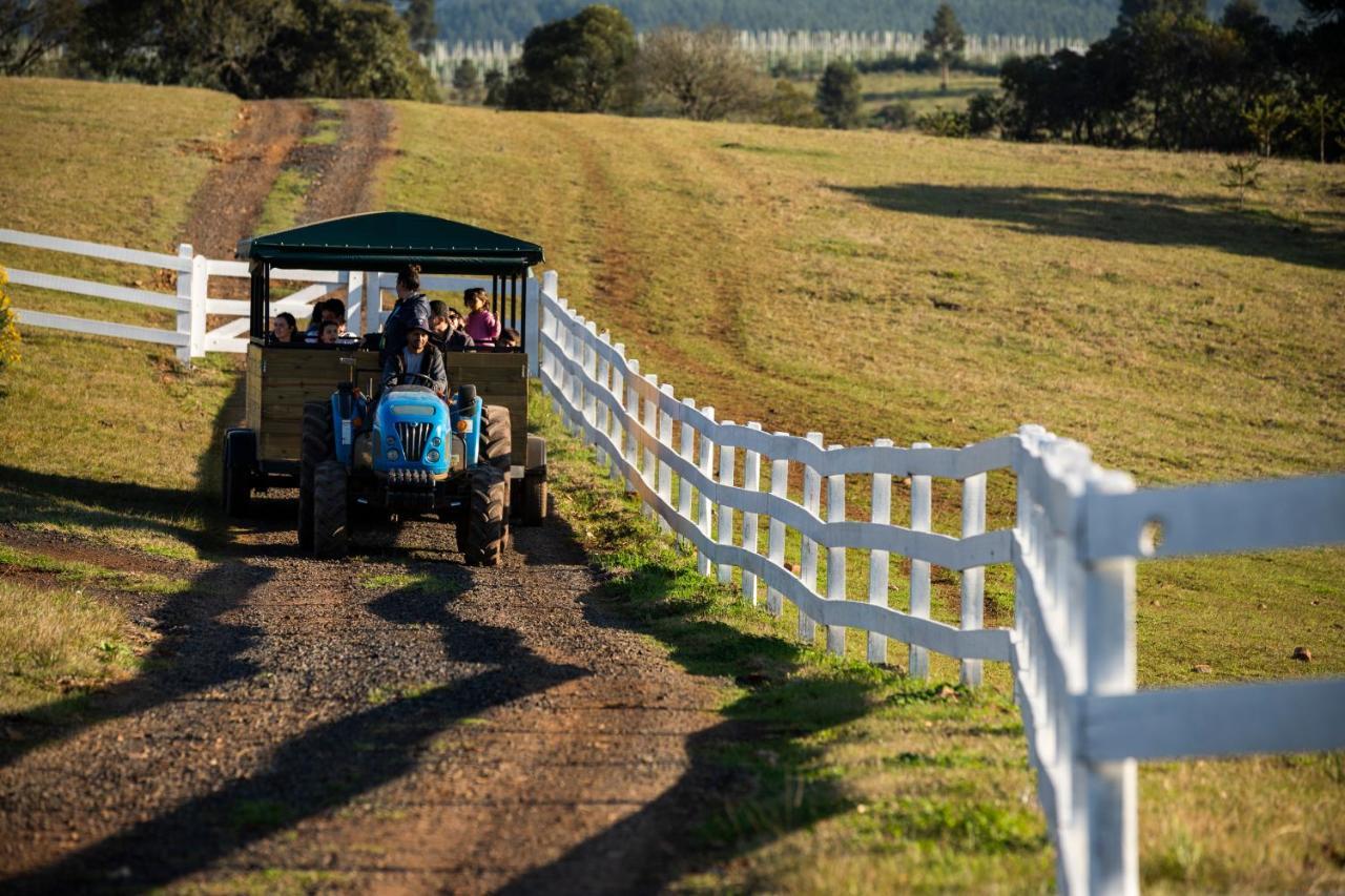 Cerro Azul Hotel Fazenda Capao Alto エクステリア 写真